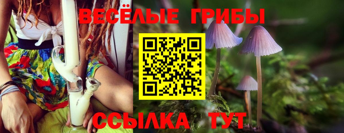 где продают наркотики  Вход с VPN  Жигулёвск  Псилоцибиновые грибы Psilocybe  Галлюциногенные грибы мухоморы 